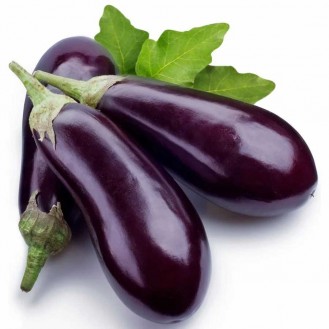 BRINJAL OVAL