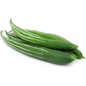 SNAKE GOURD - MALAYSIA