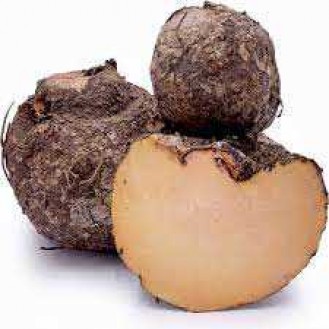 BIG YAM (KARUNAI)