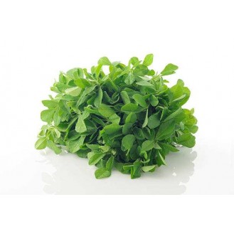 METHI LEAF