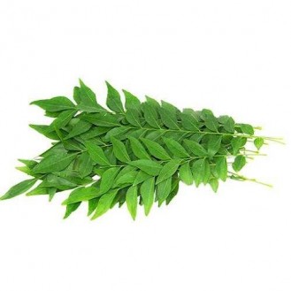 CURRY LEAF 