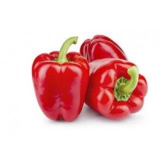 CAPSICUM RED 