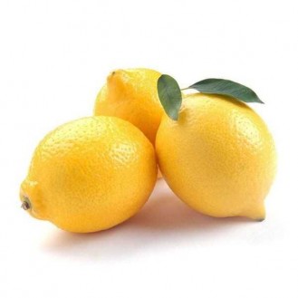 LEMON BIG 1PC
