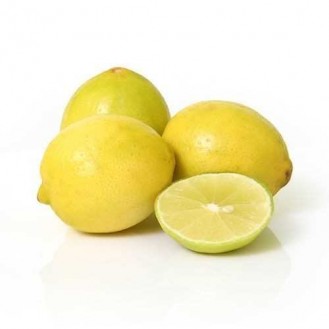 LEMON IND