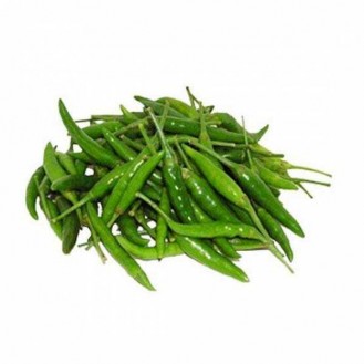 GREEN CHILLI PADI