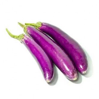 BRINJAL LONG