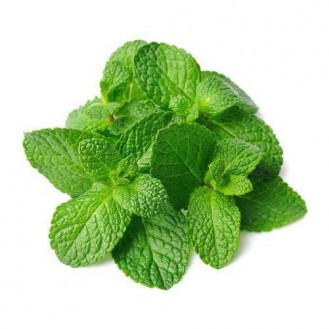 MINT LEAFS