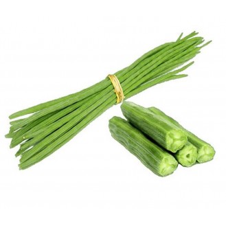 DRUMSTICK - INDIA