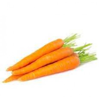CARROT (A)