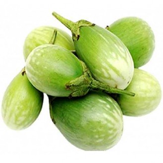 BRINJAL GREEN INDIA