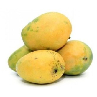 BANGANAPALLI MANGO
