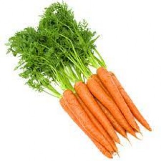 CARROT(B)