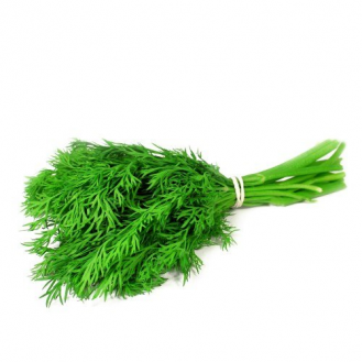 DILL LEAF
