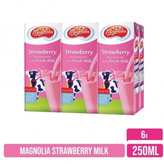MAGNOLIA STRAWBERRY MILK 6PCS