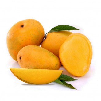 MANGOS