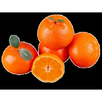 MINI ORANGE MANDARIN 