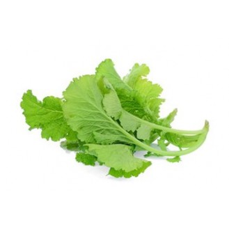 MUSTARD LEAF VEG