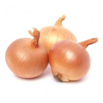 ONION (C) 
