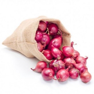 ONION BAG (C)