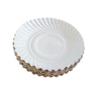 PAPER PLATE SMALL