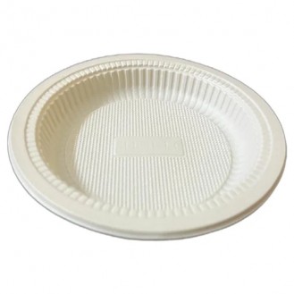 PLASTIC PLATE 6 INCH