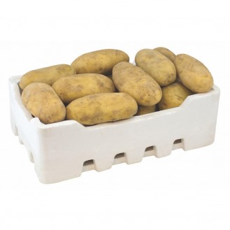 POTATO SMALL BOX 
