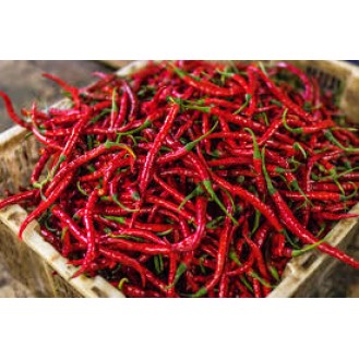 RED CHILLI