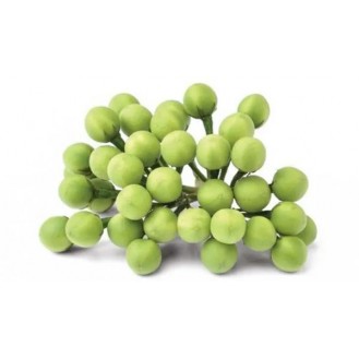 SUNDAIKAI VEG