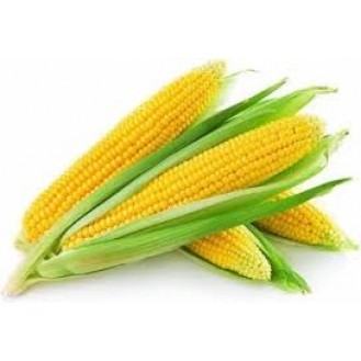 SWEET CORN