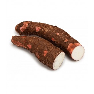 TAPIOCA