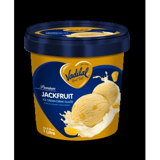 VADILAL JACK FRUIT ICE CREAM 100ML