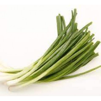 SPRING ONION