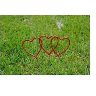 RED LION HEART SHAPE SPARKLEES 9