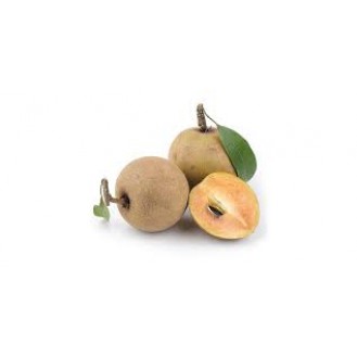 SAPOTA