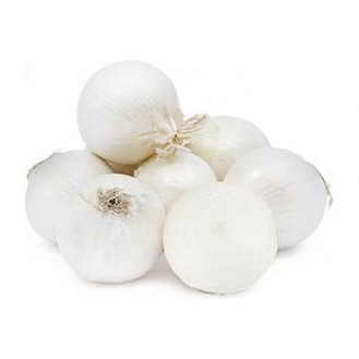 WHITE ONION 