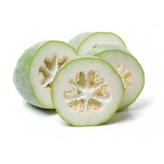WINTERMELON 