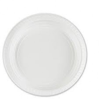 PLASTIC PLATE N0-7