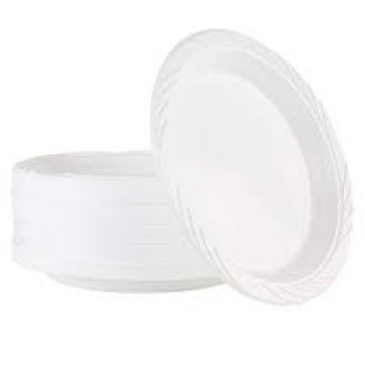 PLASTIC PLATE NO-9