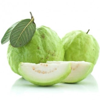 GUAVA THAI