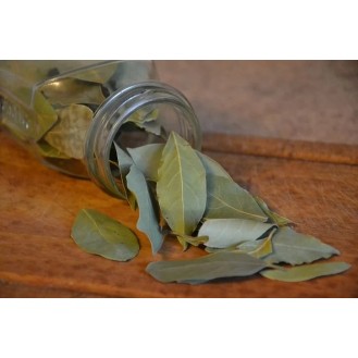 HB BAY LEAF -50G