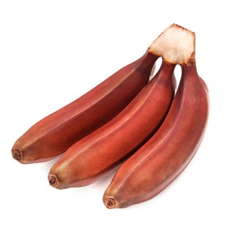 BANANA RED