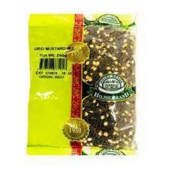 GEMINI FENNEL - 100G