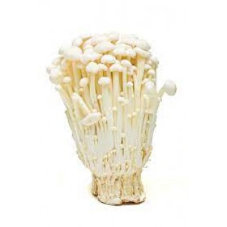 MUSHROOM WHITE SMALL